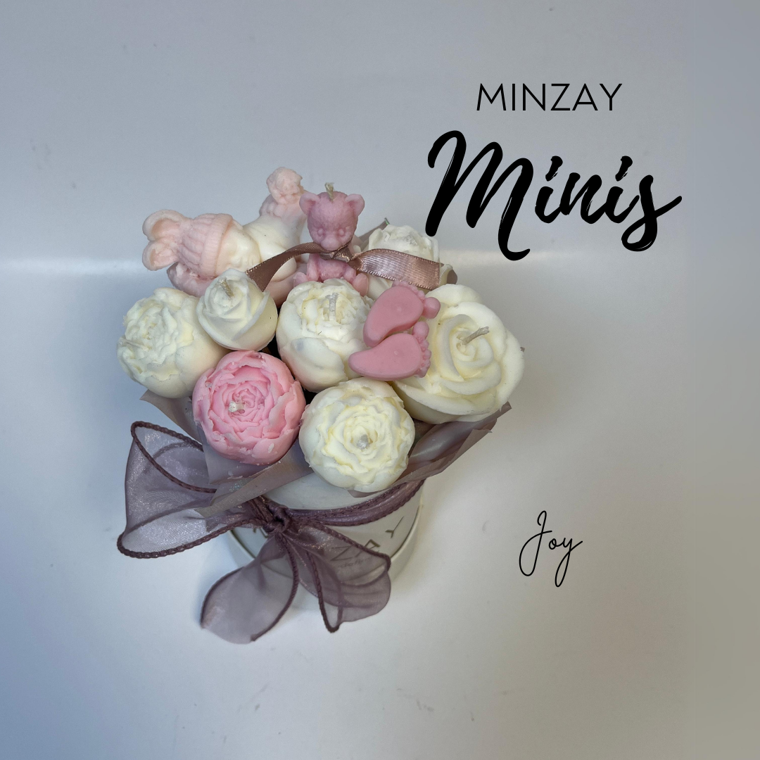 MINZAY Minis